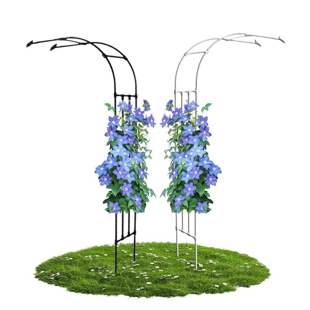Metal Rose Arch Trellis, Black, 60 x 240 cm