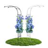 Metal Rose Arch Trellis, Black, 60 x 240 cm view 1
