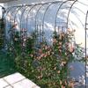 Metal Rose Arch Trellis, Black, 60 x 240 cm view 3