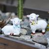 ACAREY 2-Piece Resin Garden Decor, Weather-Resistant Outdoor Duck Couple Figurines, Animal Garden Statues for Farmhouse, Balcony, Living Room, or Office (C) view 3