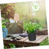 ibasenice 30-Pack Black Plastic Nursery Pots with Drainage Holes view 3