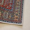 BZFAOEV Retro Rug for Living Room, Hallway & Closet, Non-Slip Vintage Runner, Kitchen Mat, Bathroom Floor Covering, 31 x 47 in view 2