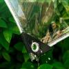 Waterproof Transparent Tarp for Outdoor Use (1.8 x 2 m) view 3