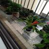 Generic Balustrade Infill Panel, Perforated 304 Stainless Steel Sheet, 45 x 120 cm view 4