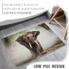 Generic African Elephant Rug for Living Room or Bedroom, Jungle Wildlife Design, 240 x 340 cm, Washable, Non-Slip, Low-Pile view 2