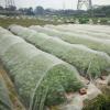 High-Density Anti-Bird Garden Netting for Plants and Greenhouses view 2