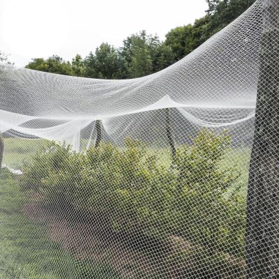 Anti-Hail Net, UV-Resistant, 8 x 10 m, for Orchards, Crop Protection and Gardens