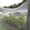 Anti-Hail Net, UV-Resistant, 8 x 10 m, for Orchards, Crop Protection and Gardens view 1