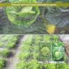 Anti-Hail Net, UV-Resistant, 8 x 10 m, for Orchards, Crop Protection and Gardens view 3