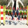 Expandable Folding Safety Barriers for Construction Sites and Crowd Control view 3