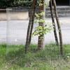 YMCIBTJJ 304 Stainless Steel Welded Wire Mesh, 1.27 cm (1/2 in), for Rodent Cages and Grills, 1 m x 20 m view 2