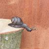 Small Bent Bronze Snail Figure for Edges, 10 cm view 2