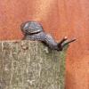 Small Bent Bronze Snail Figure for Edges, 10 cm view 3