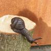 Small Bent Bronze Snail Figure for Edges, 10 cm view 4