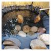 PVC Pond Liner, UV- and Weather-Resistant, for Fish Ponds, Waterfalls and Water Gardens, 1 x 10 m / 4 x 10 m / 5 x 10 m (Size: 1 x 2 m) view 1