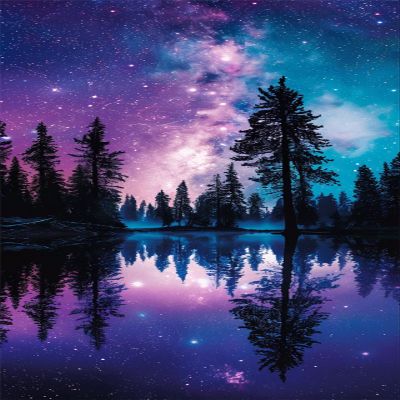 Arbre Paint by Numbers Kit for Adults and Children, Night View, 100 x 200 cm