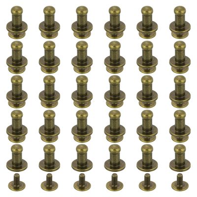 QUARKZMAN 30-Piece Leather Rivet Set, 4 mm Chicago Screws, Round-Head Screw Rivets, Bronze