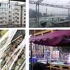 Heavy-Duty Waterproof Transparent Tarp, 3.5 m x 4.4 m, Double-Layer PVC Cover with Grommets for Home, Garden, and Outdoor Use view 3