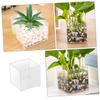 Toyvian 2-Piece Transparent Plastic Terrarium Set, Micro-Landscape Containers for Plants, Moss, DIY Terrariums, Decorative Landscape Bottles view 3