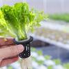 Hydroponic Net Pots view 3