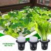 Hydroponic Net Pots view 4