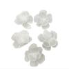 WEKONUMEX Embroidered 3D Lace Appliqués for Repairing and Decorating Clothes (Ivory) view 1