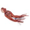 Lifelike Squid Fishing Lure with Big Eyes and Thick Skirt view 4