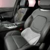 Car Seat Lumbar Support Pillow, Elastic Cotton Cushion for Office Chairs and Cars view 2