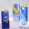 [Graduation Memorial] Custom Crystal Shield Club Activities Victory Memorial Design Proposal, Possible Personalized Model, 20 x 8 cm view 3
