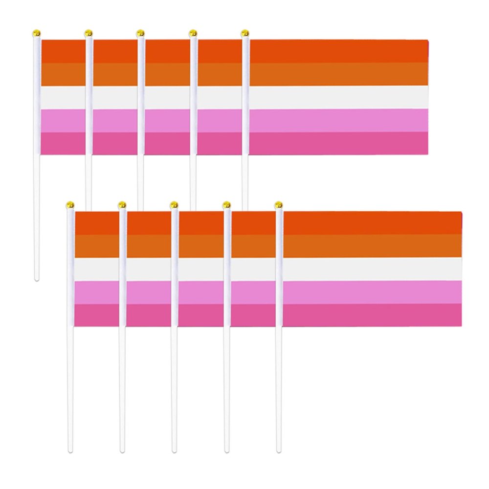 WCRAZYE Progress Pride Rainbow Flags, 8 x 12 in, Mini Hand Flags on Sticks, Set of 12