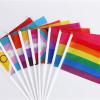 WCRAZYE Progress Pride Rainbow Flags, 8 x 12 in, Mini Hand Flags on Sticks, Set of 12 view 3