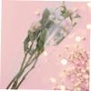 BESTYASH 50 Transparent Flower Bags view 2