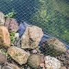PanHuiWen Garden Protection and Trellis Net, 15 x 15 mm Mesh, 3 x 10 m view 3