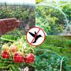 PanHuiWen Garden Protection and Trellis Net, 15 x 15 mm Mesh, 3 x 10 m view 4