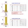 WUPNGS Countersunk Phillips Screws with Round Pan Head, Stainless Steel, Brass, M6 × 12 view 2