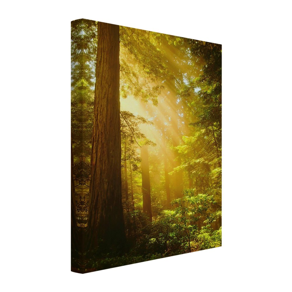 micasia Acoustic Forest Wall Art, Yellow Tree, 4 cm Stretcher Frame & Sound Absorber, 50 × 70 cm