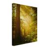 micasia Acoustic Forest Wall Art, Yellow Tree, 4 cm Stretcher Frame & Sound Absorber, 50 × 70 cm view 1