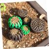 Toyvian 20-Piece Plastic Bonsai Fertilizer Boxes, Coffee, for Dosing view 4