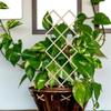 Wooden Honeycomb Trellis for Climbing Houseplants view 4