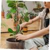 NULYLU 8-Piece Spiral Metal Garden Plant Supports view 3