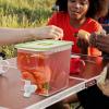 RhineCart Basics Transparent Portable Beverage Dispenser for Cocktails and Lemonade view 3