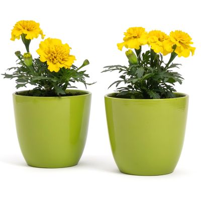 Set of 2 Green Terracotta Flower Pots, 10 cm D x 9 cm H, for Plants, Flowers and Bonsai