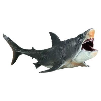 Generic Shark Toy – Realistic Shark Model