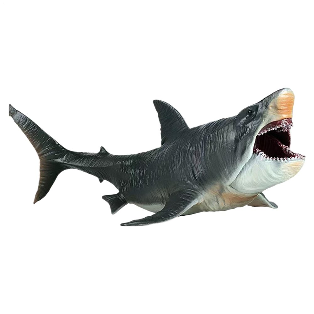 Generic Shark Toy – Realistic Shark Model