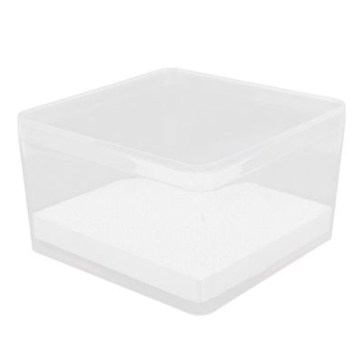Amosfun Small Clear Insect Display Case with Lid