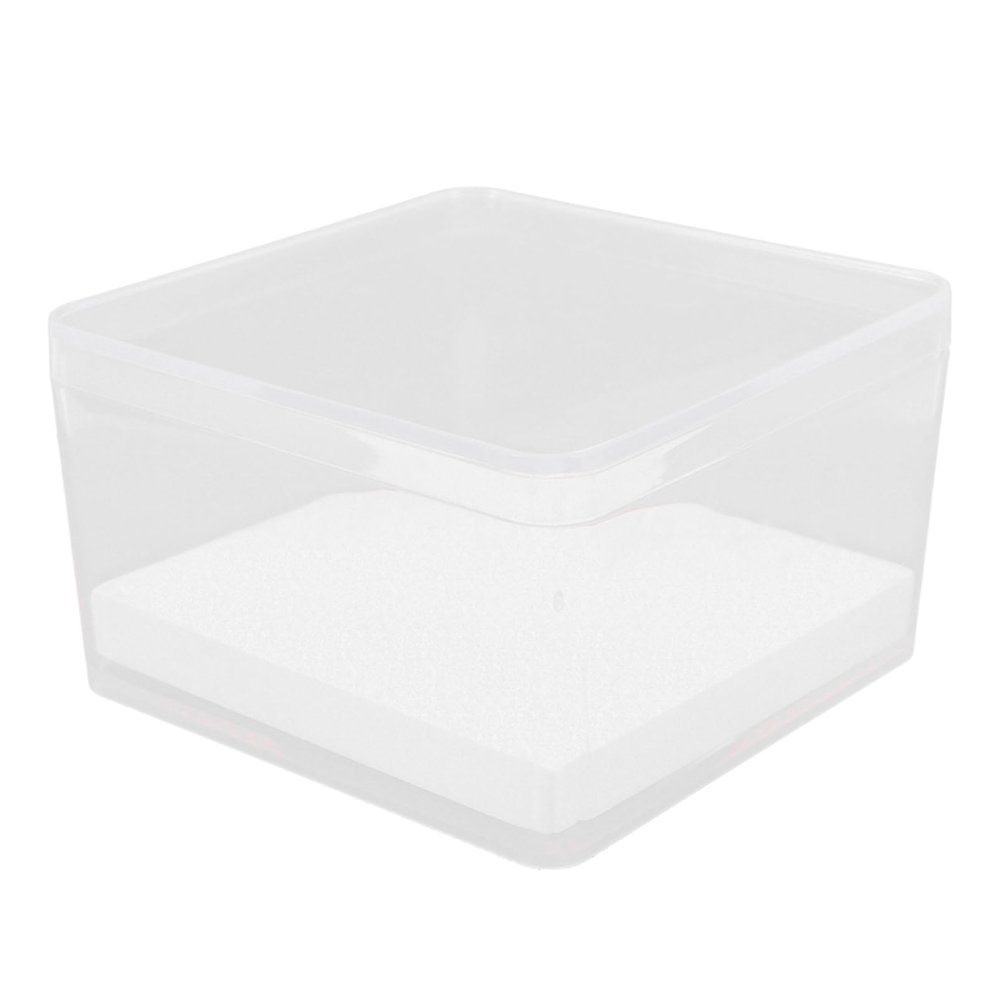 Amosfun Small Clear Insect Display Case with Lid