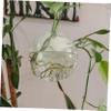 Wall-Mounted Glass Plant Vase for Cuttings, Christmas and Theme Parties view 4