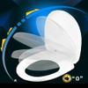 Toilet Seat with Soft-Close Function, Top-Mounted, U/V/O Shape view 3
