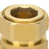 Check Valve, Brass, Threaded, Backflow Control, DN20 × 25 view 3
