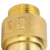 Check Valve, Brass, Threaded, Backflow Control, DN20 × 25 view 4
